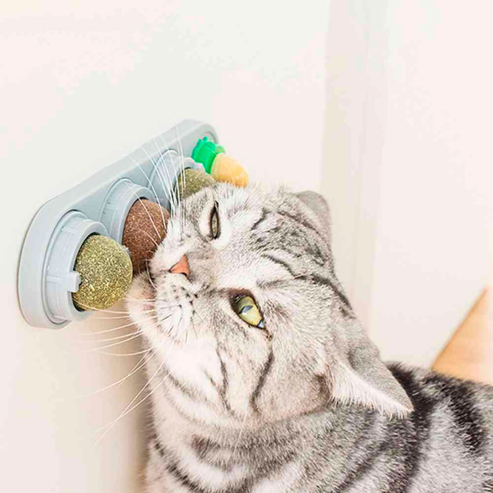 Natural Safety Pet Catnip Toys For Cat Mint Ball Healthy Matatabi Cleaning Teeth Stick Molar Cat Nip Lollipop Catmint Supplie